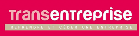 Transentreprise
